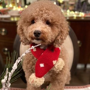 Meet your Posher, Maria